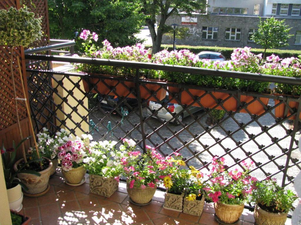 Patio Mare Amber Apartment โซพอต ภายนอก รูปภาพ