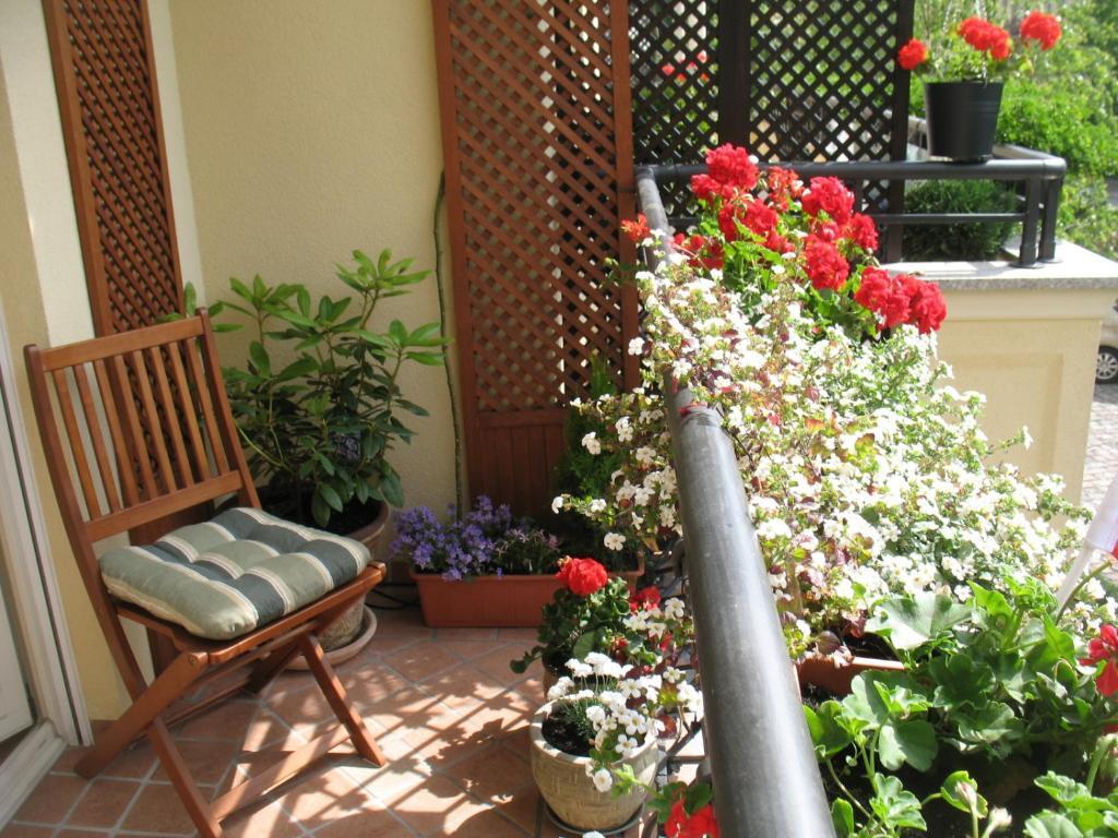 Patio Mare Amber Apartment โซพอต ภายนอก รูปภาพ